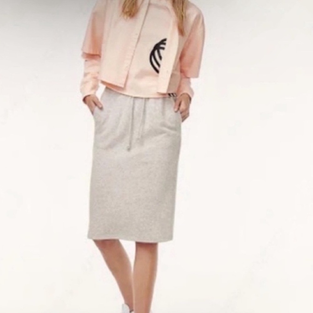 Aritzia TNA Grey Cariboo Skirt